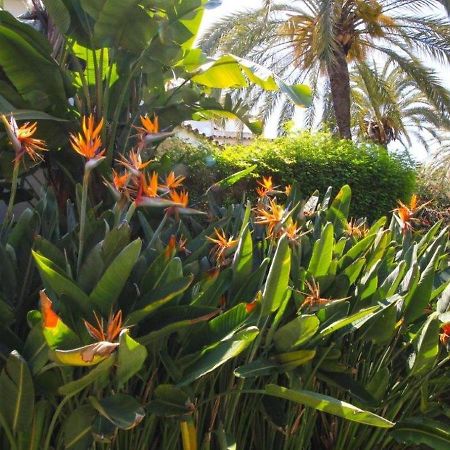 מארבלה Belvilla By Oyo Golden Beach House מראה חיצוני תמונה